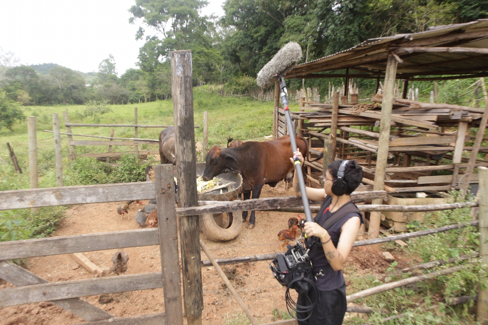 20JAN23_Dezinha e Sua Saga (24)