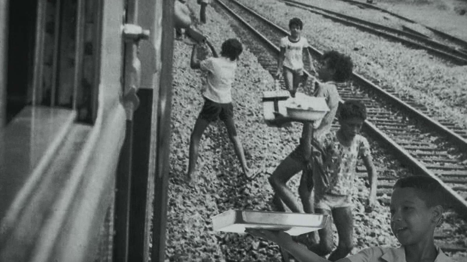 O Último Trem - CVM II - Instituto Marlin Azul - frame (11)